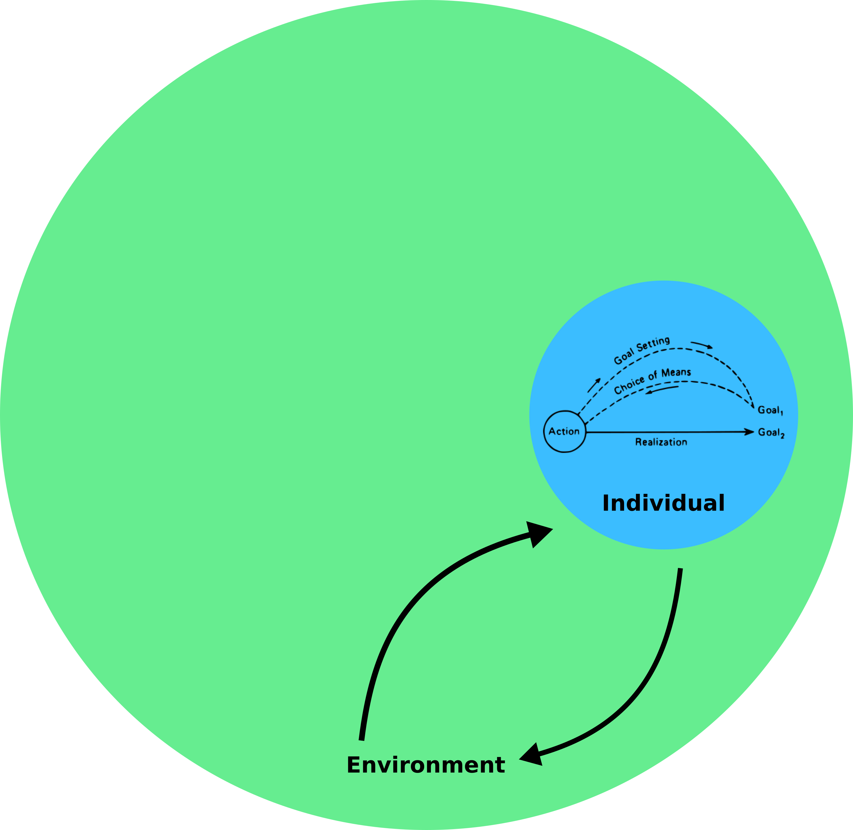 environmen & individual
