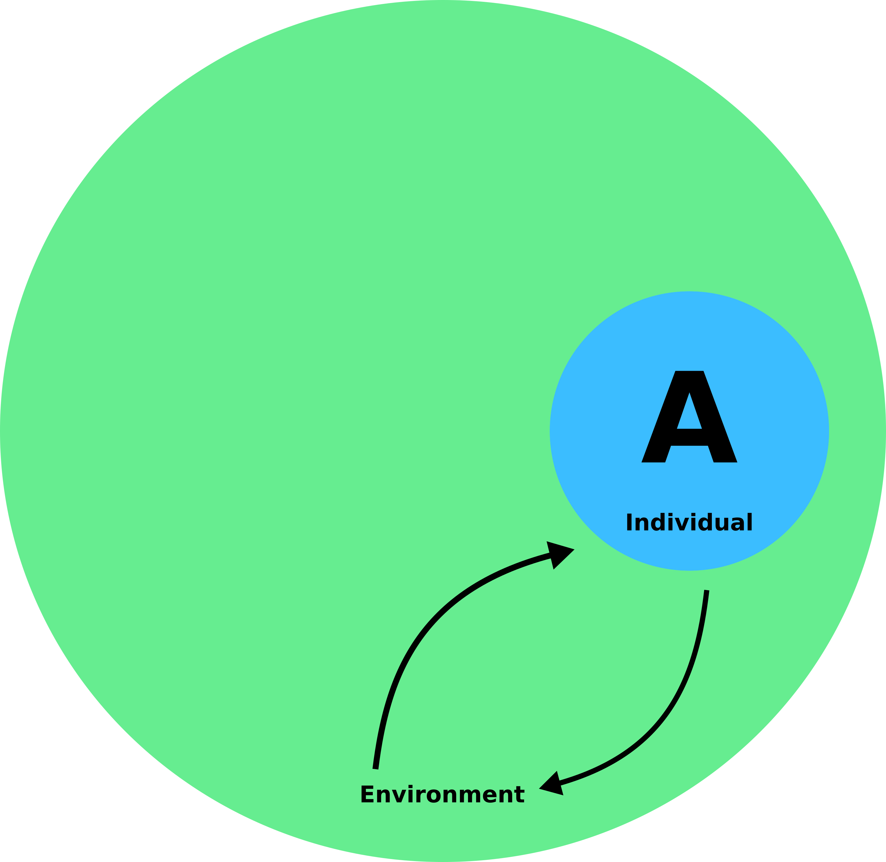 environmen & individual