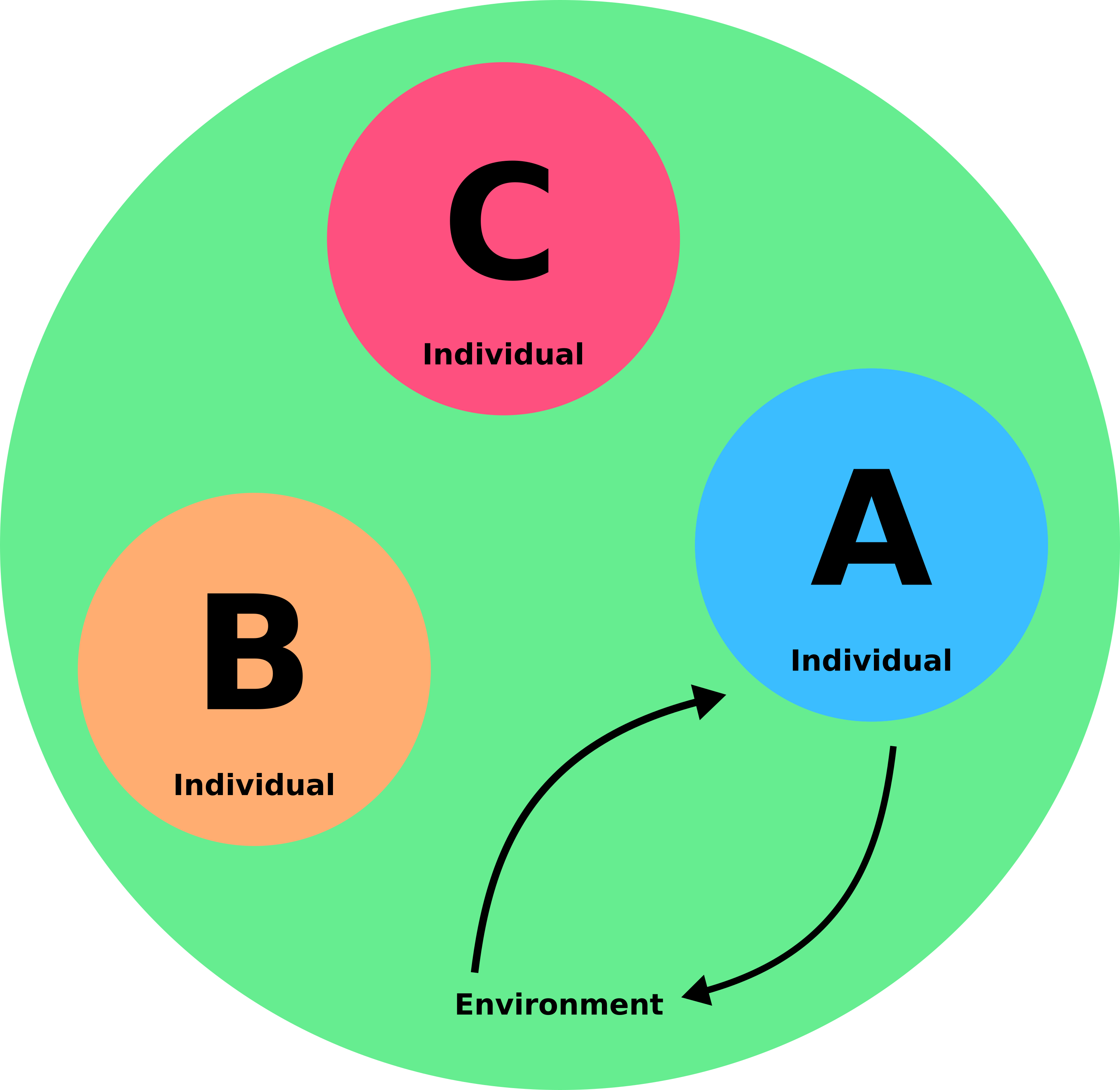 environmen & individual