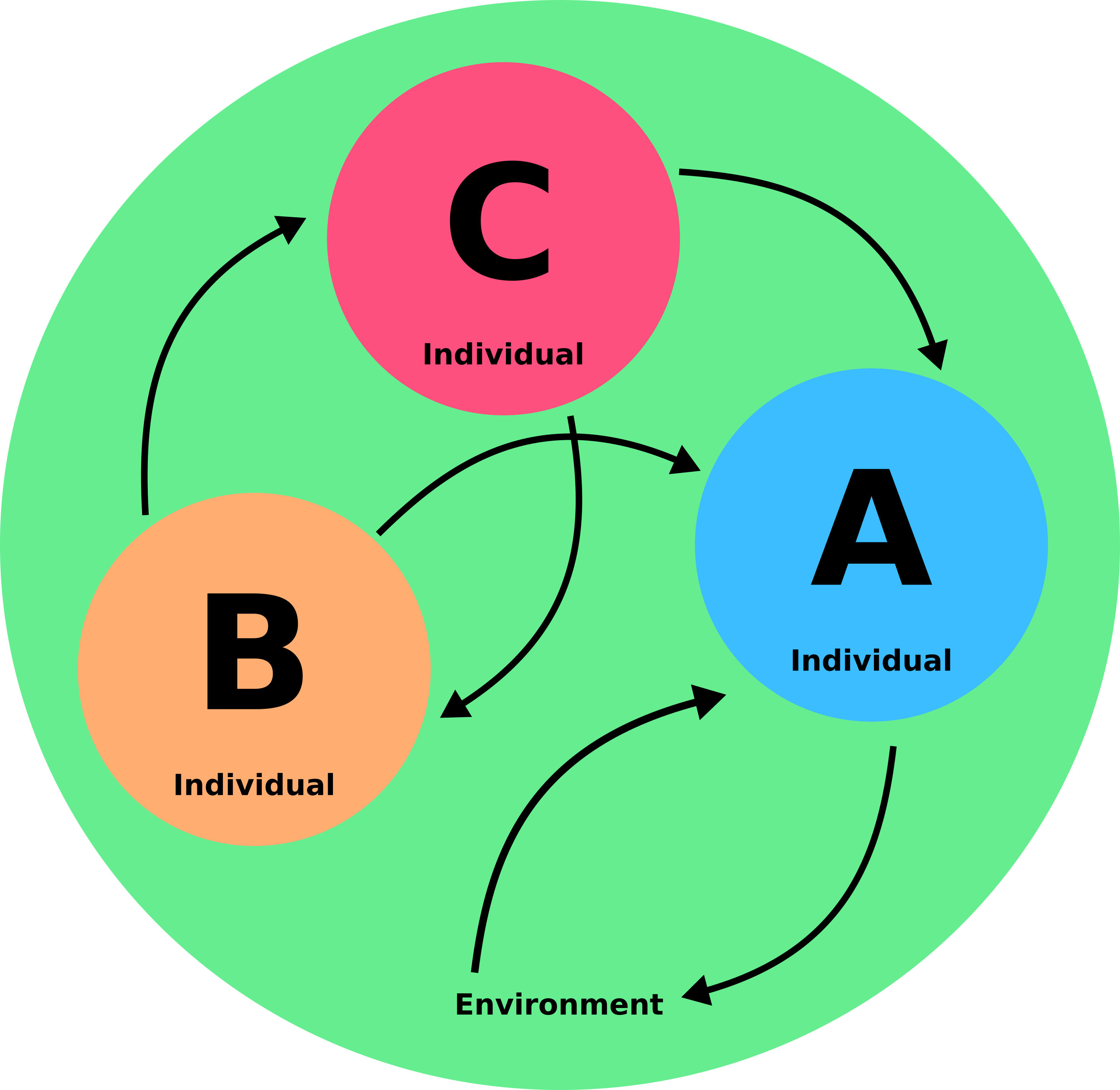 environmen & individual