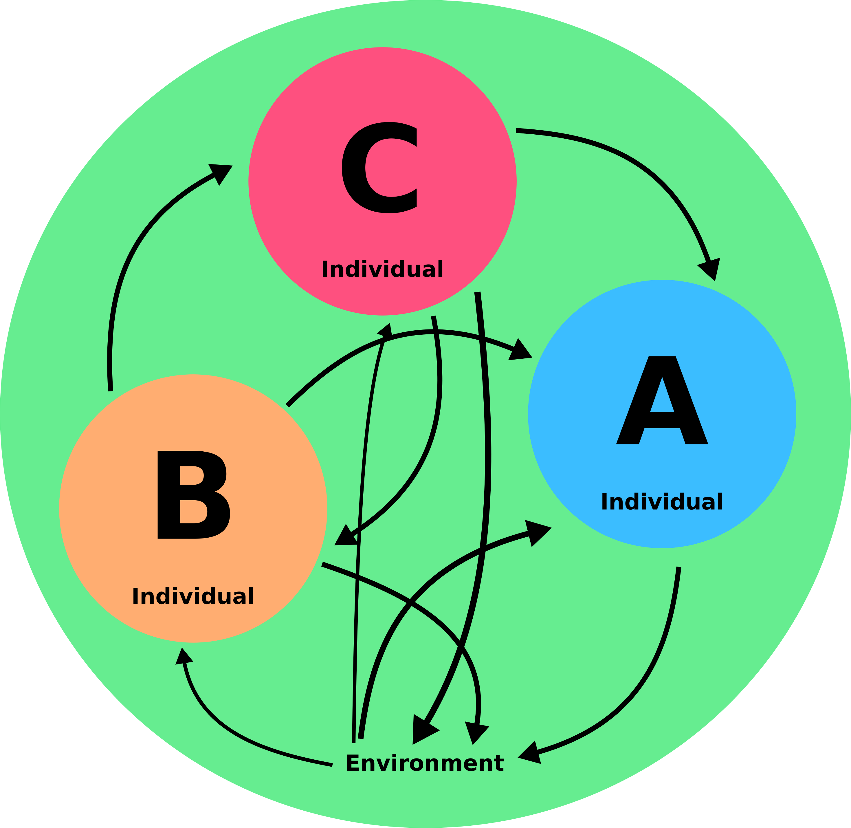 environmen & individual