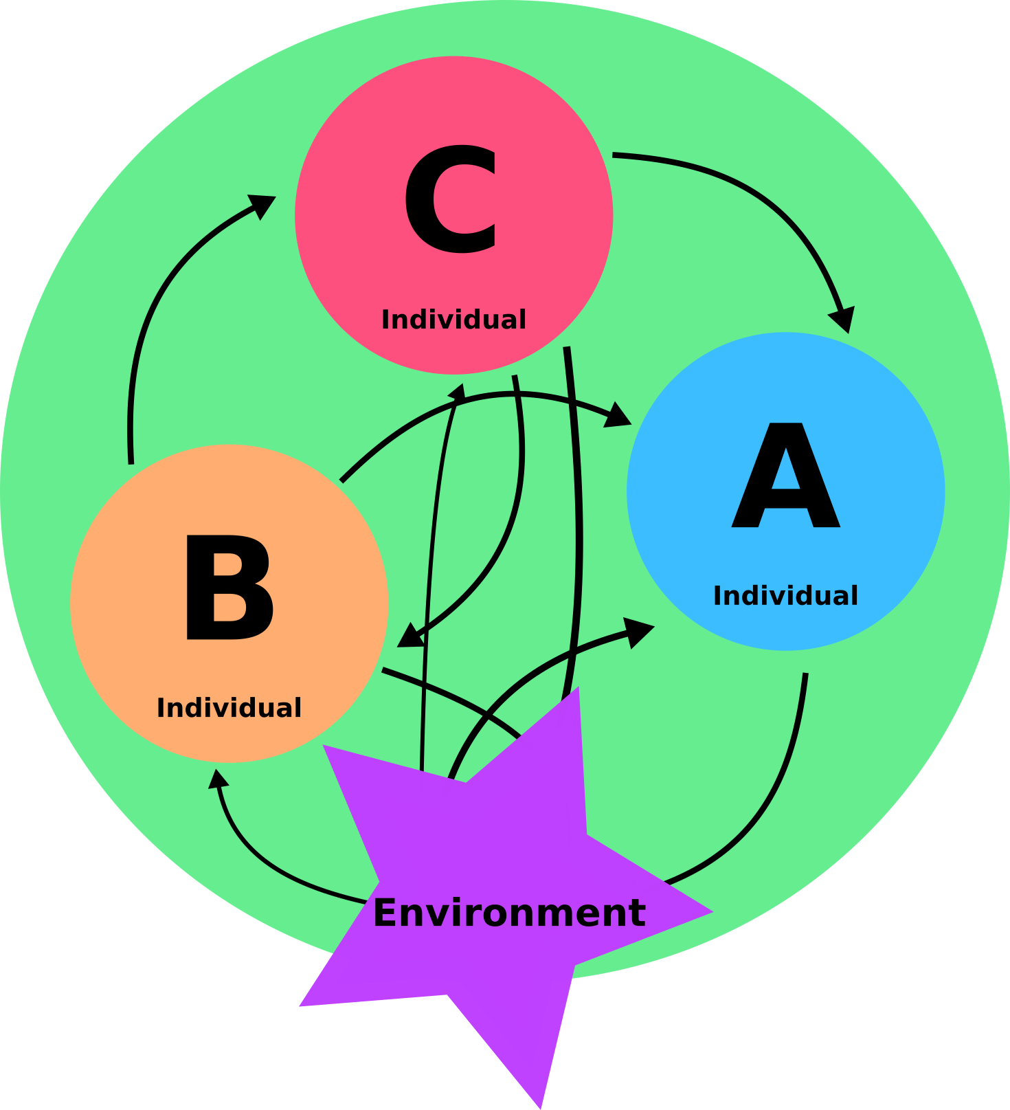 environmen & individual