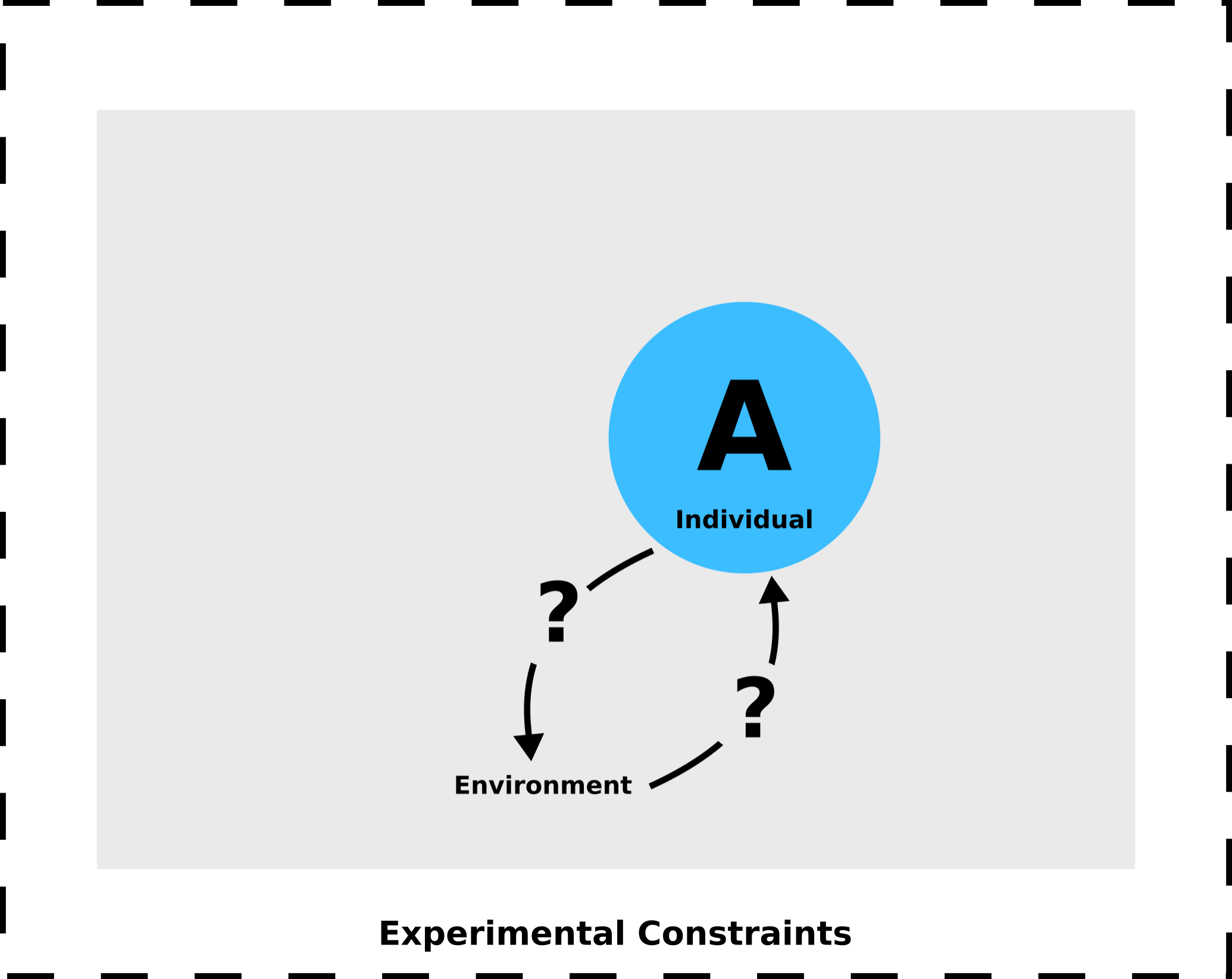 experimental constraints